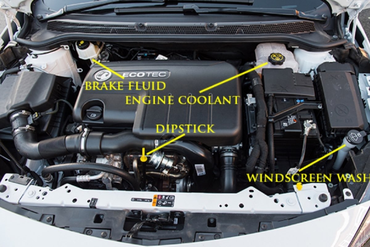 A labelled diagram of a car engine bay showing where to find the brake fluid, engine coolant, dipstick and windscreen washer